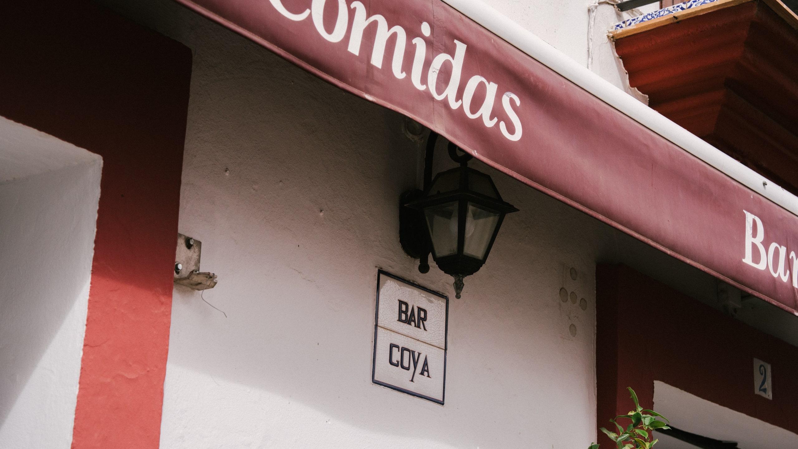 bar goya, noviembre 2024