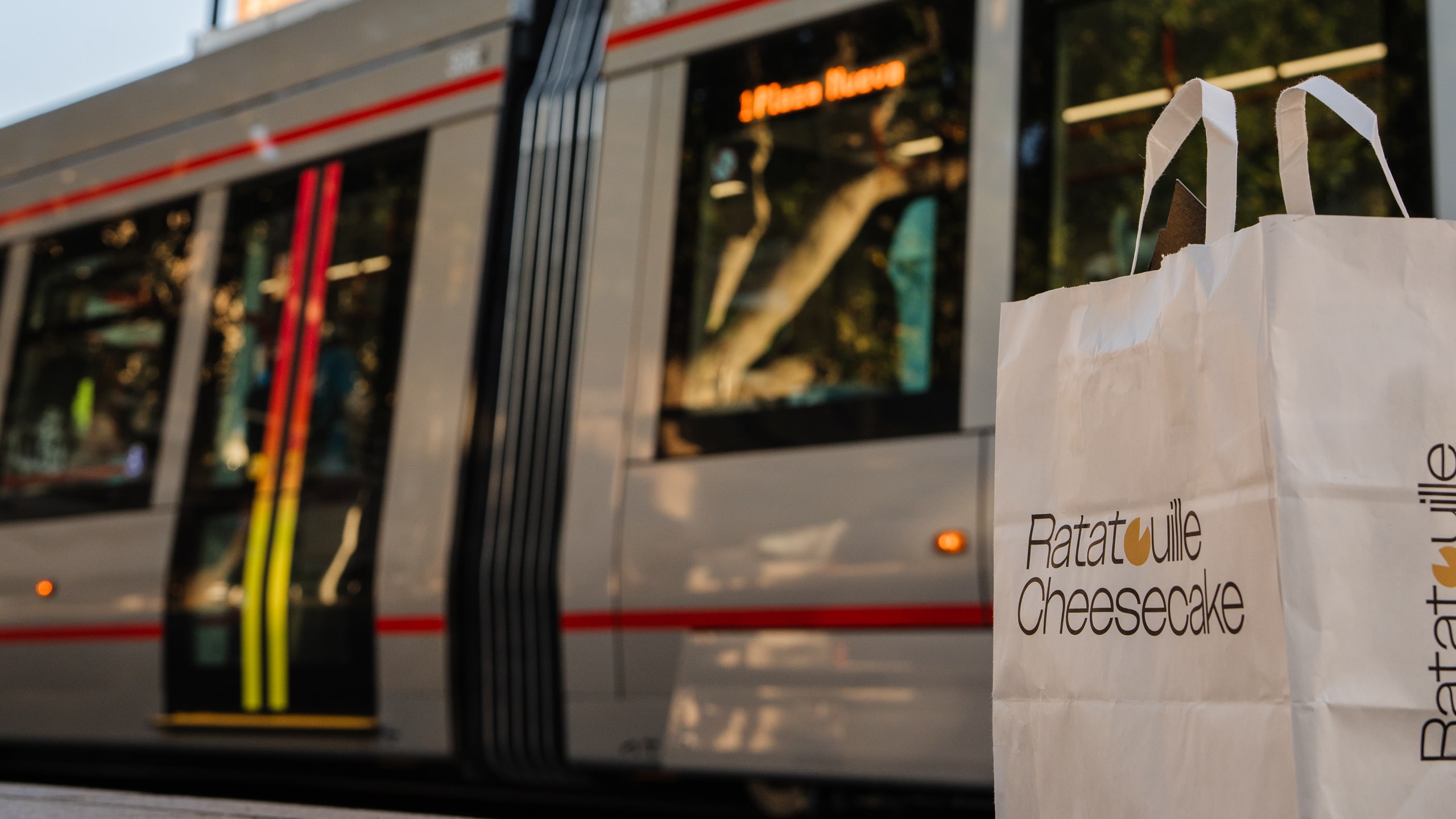 ratatouille cheesecake, febrero 2025