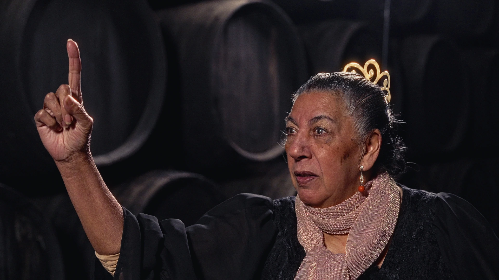 Operador y colorista, Territorio Jerez