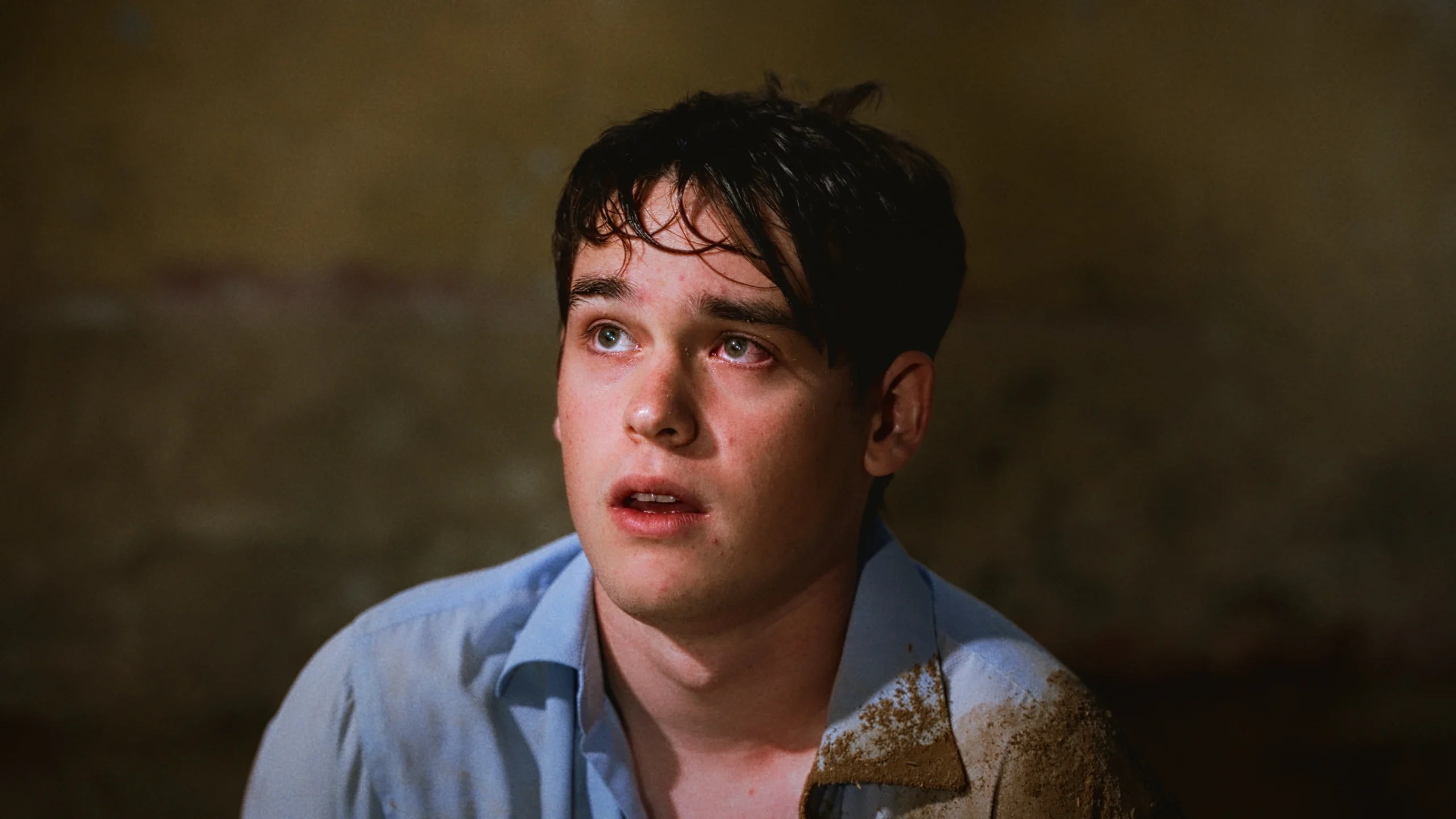 Director y colorista, Límite